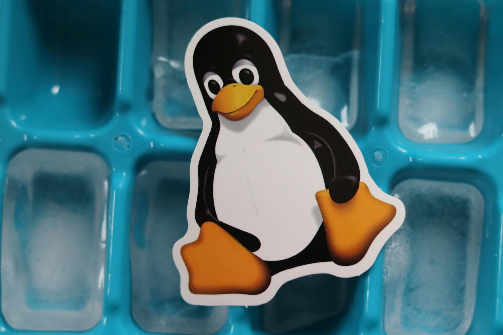 Close-up of a Linux penguin sticker placed on a blue ice cube tray with frozen cubes.