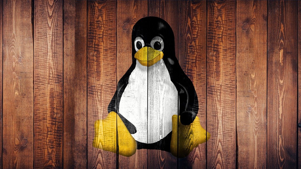 linux, laptop, screen, wallpaper, wood, penguin, graffiti, logo, linux, linux, linux, linux, hd wallpaper, linux