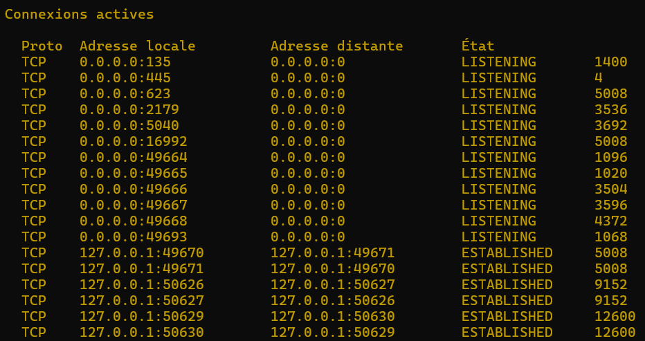 image-7 Maîtrisez Tasklist et Taskkill sur Windows : Guide complet