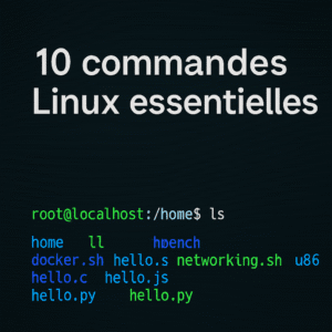 10 Commandes Linuxe essentiels Image